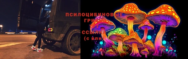 apvp Тихвин