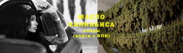 гашик Порхов
