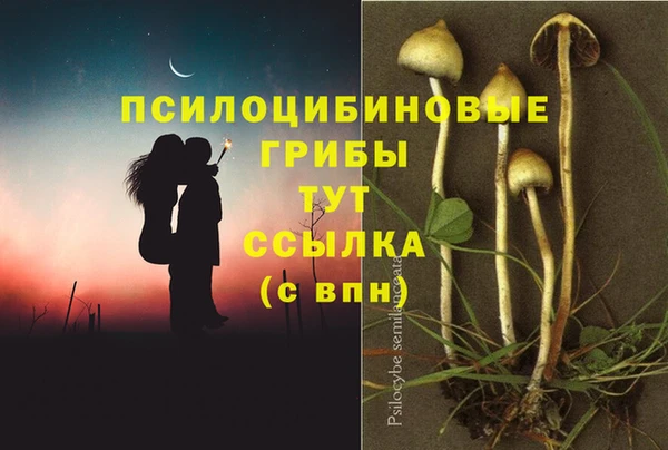apvp Тихвин