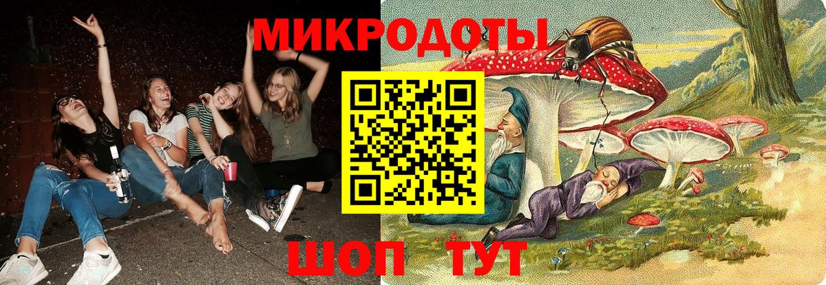 Псилоцибиновые грибы Psilocybe Холмск
